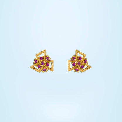 Pair of Golden Earrings with Stones