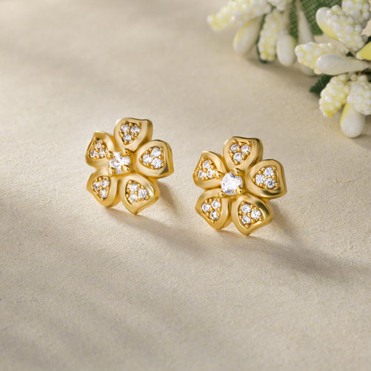 Pair of Golden Earrings with White Stones