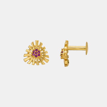 Pair of Golden Earrings with Stones