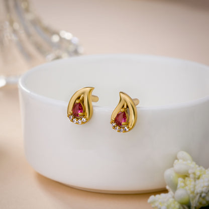 Pair of Golden Earrings with Stones