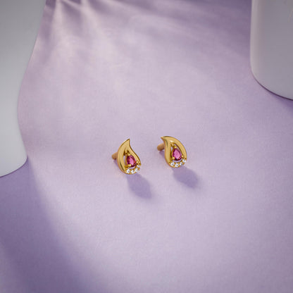 Pair of Golden Earrings with Stones