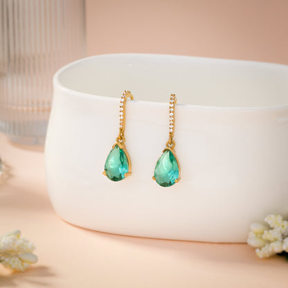 Pair of Earrings with Stones