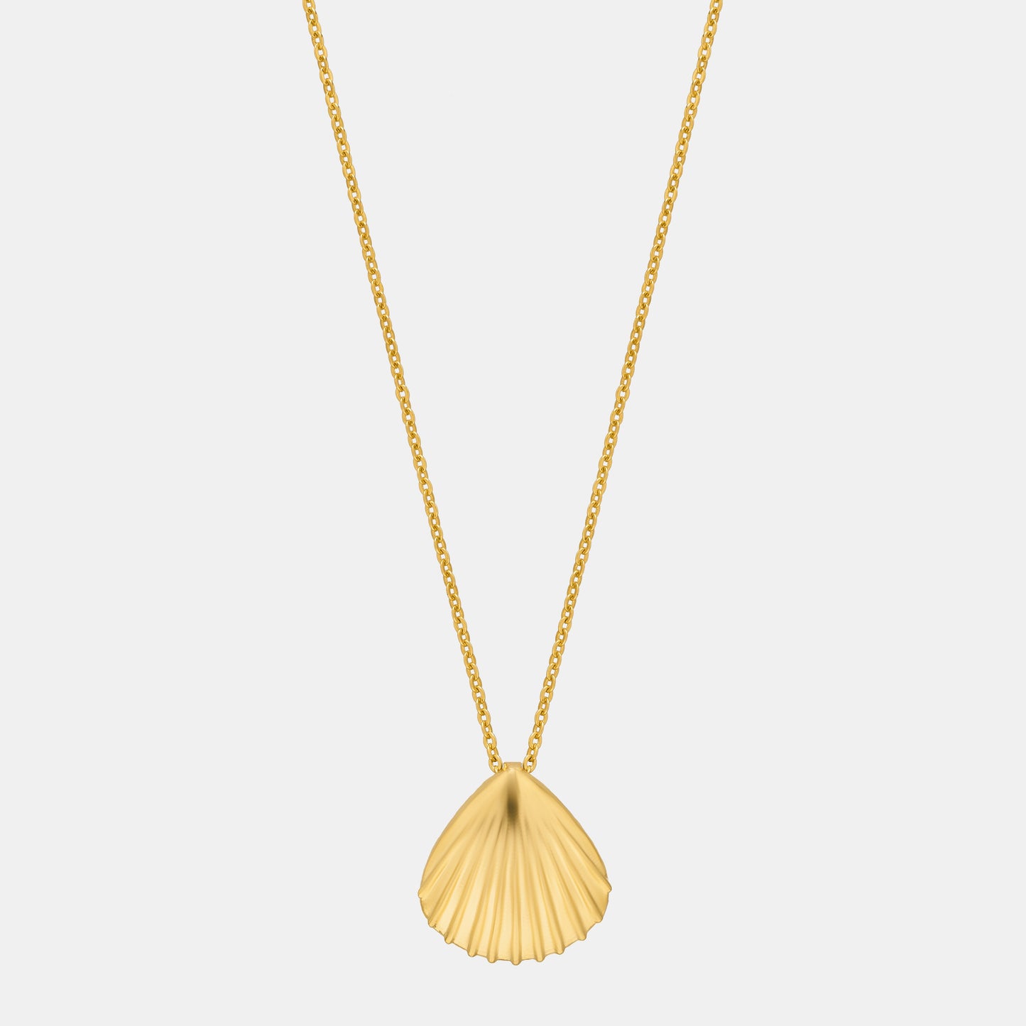 golden necklace with a shell on it