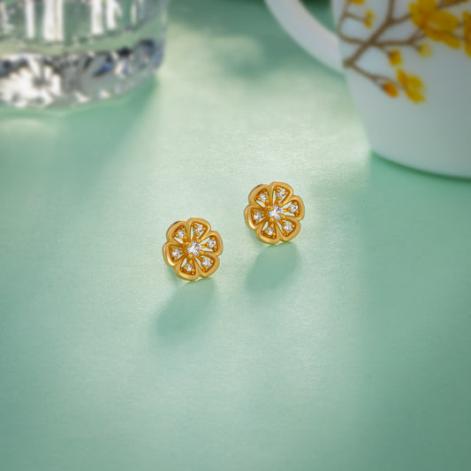 Pair of Golden Earrings with Stones