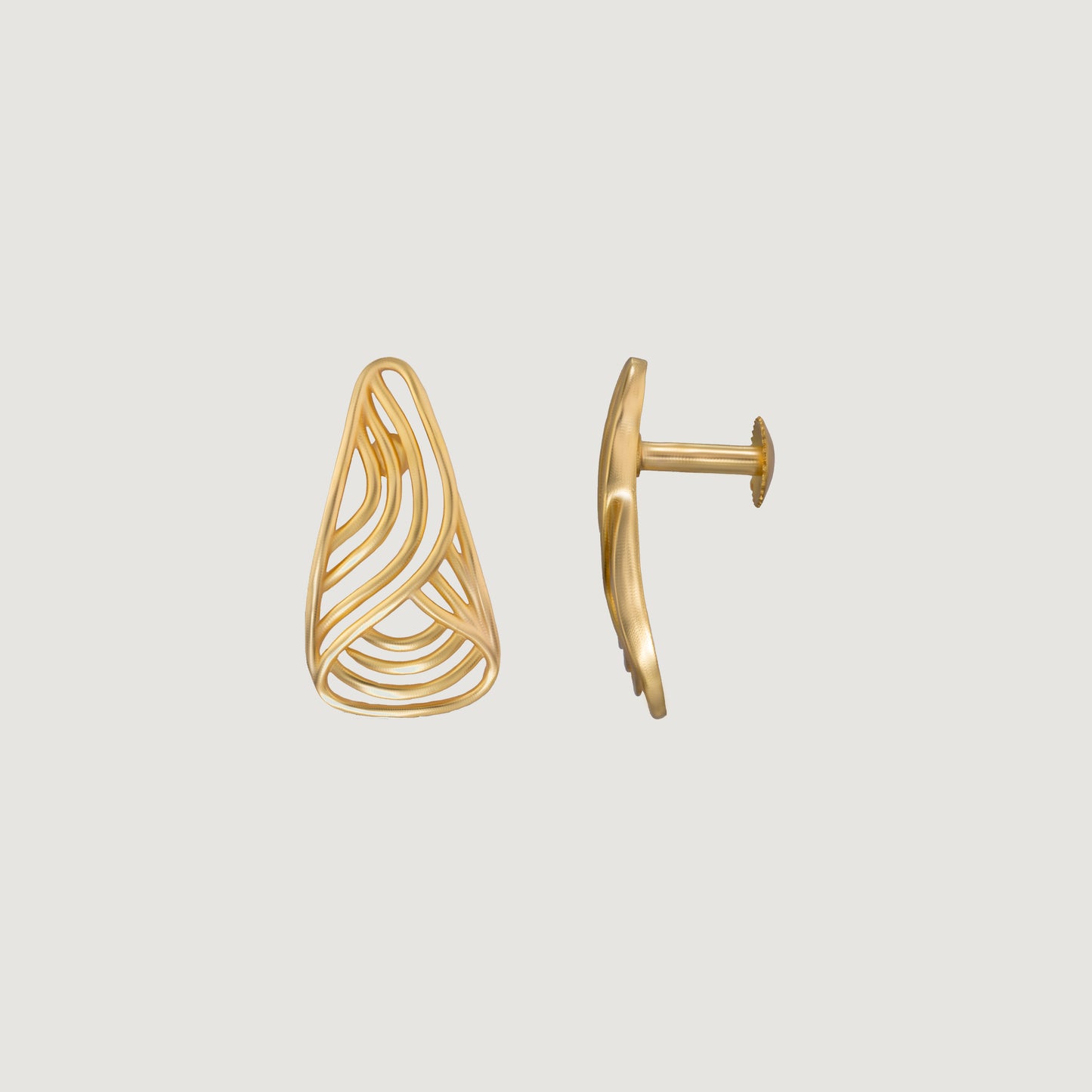 pair of golden earrings