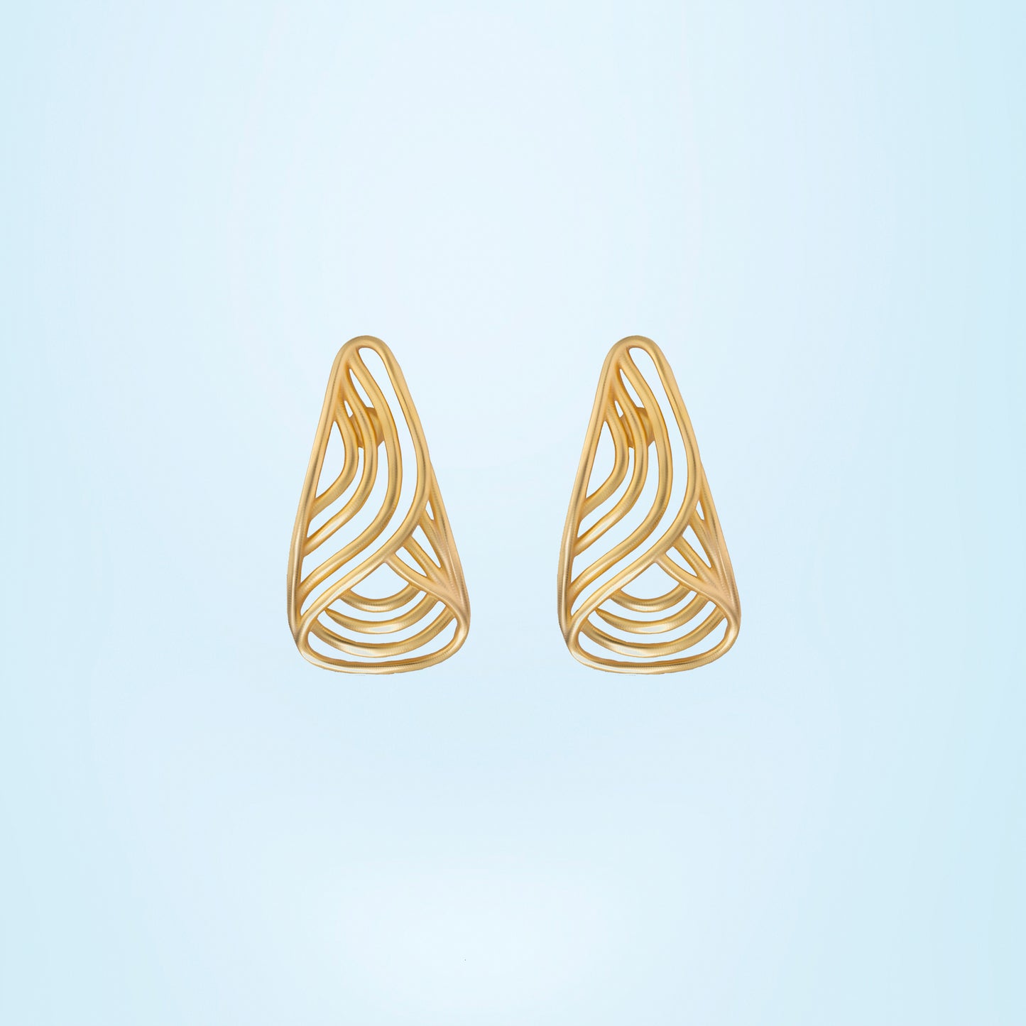 pair of golden earrings