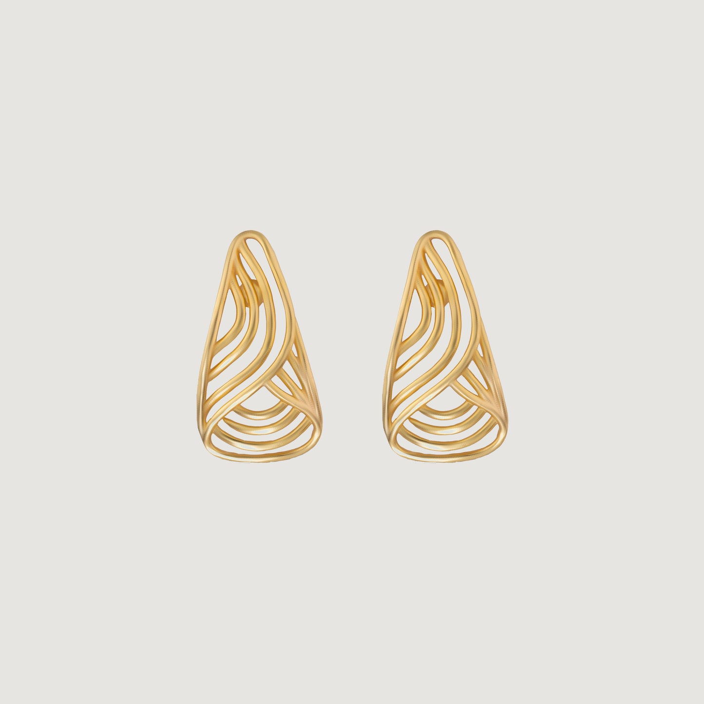 pair of golden earrings