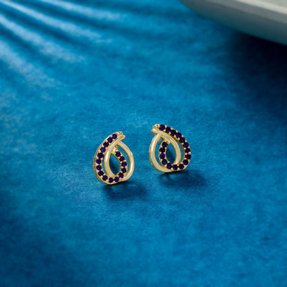 Elegant Twisted Earrings