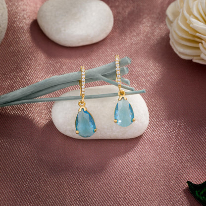 Pair of Earrings with Stones