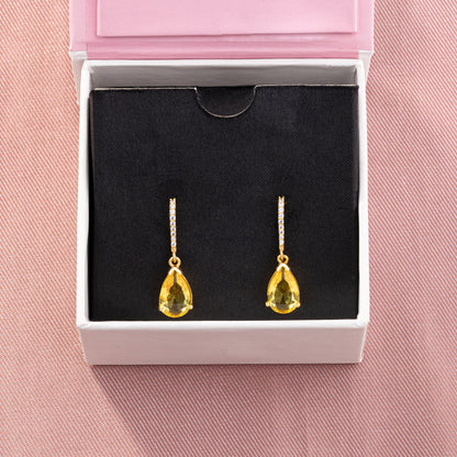 Pair of Earrings with Stones