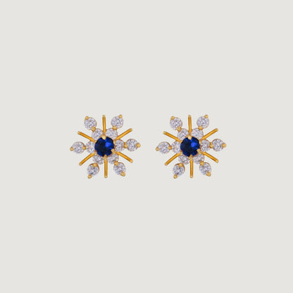 Pair of Diamond earrings