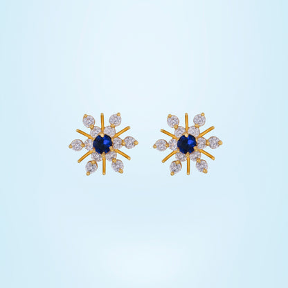 Pair of Diamond earrings