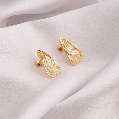 Pair of golden earrings