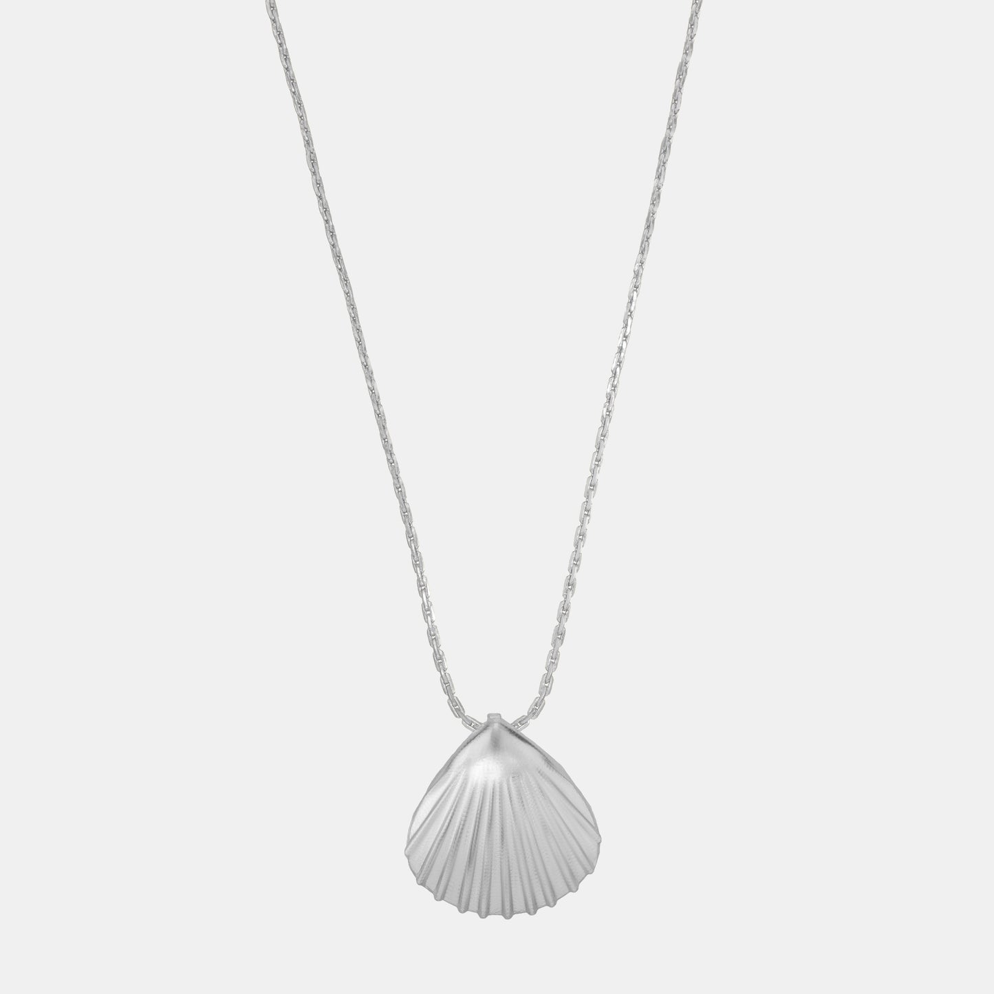 silver necklace with a shell on it