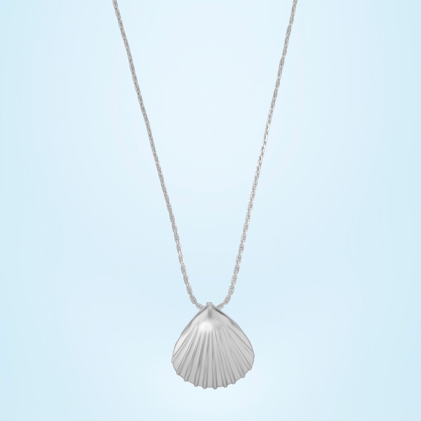 silver necklace with a shell on it