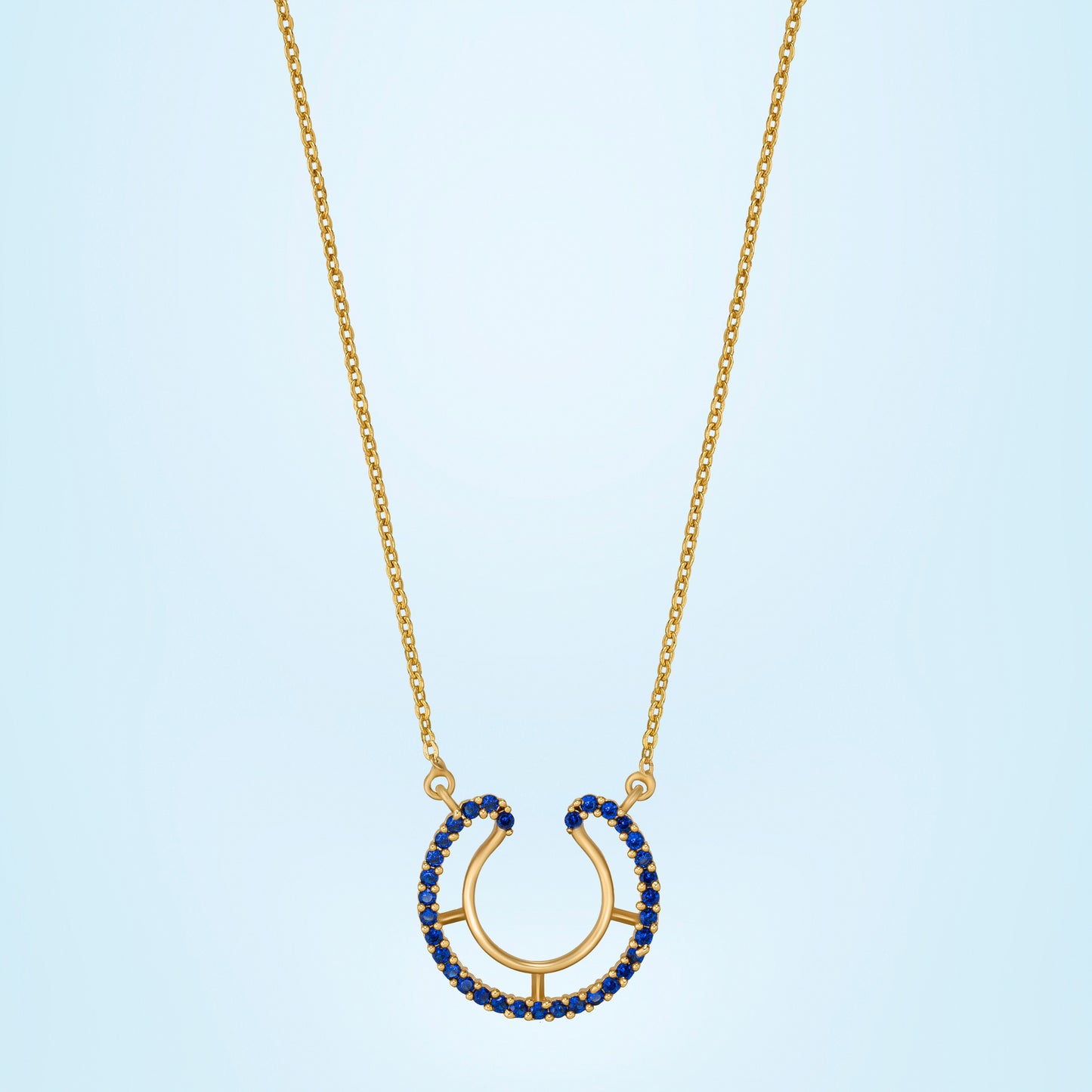 luck with this stunning golden horseshoe necklace